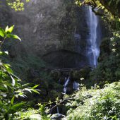  Cajas National Park